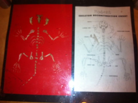 20120511-165258.jpg