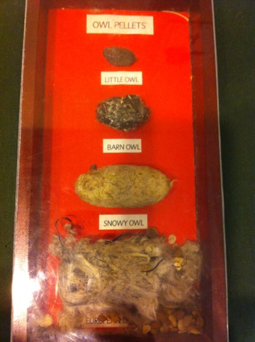 20120511-165313.jpg