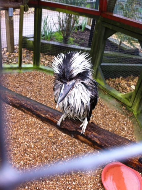 20120511-165400.jpg