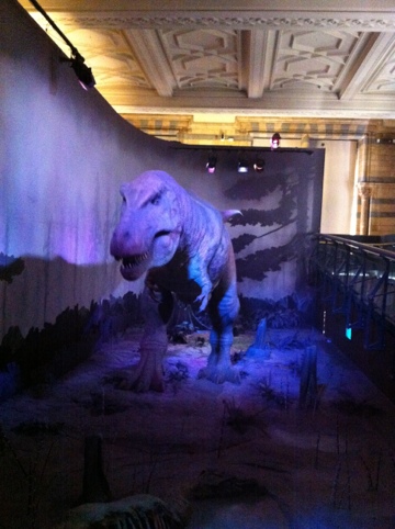 20120511-165632.jpg