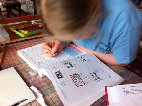 20120511-165837.jpg