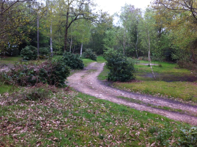 20120515-173632.jpg