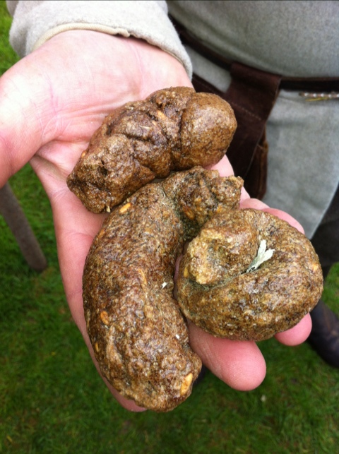 20120515-174902.jpg